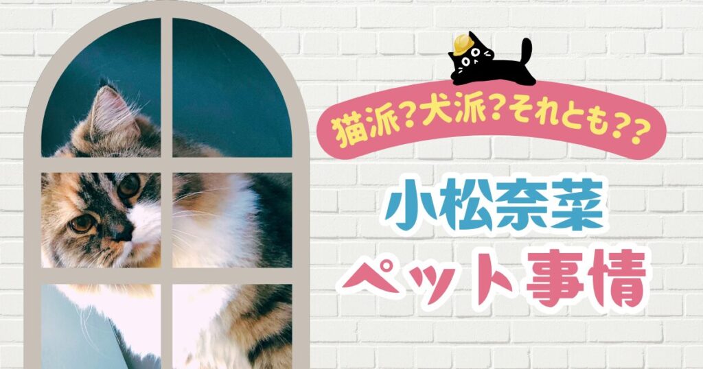 【最新情報】小松菜奈はペットを飼っていない？猫好きエピソードまとめ